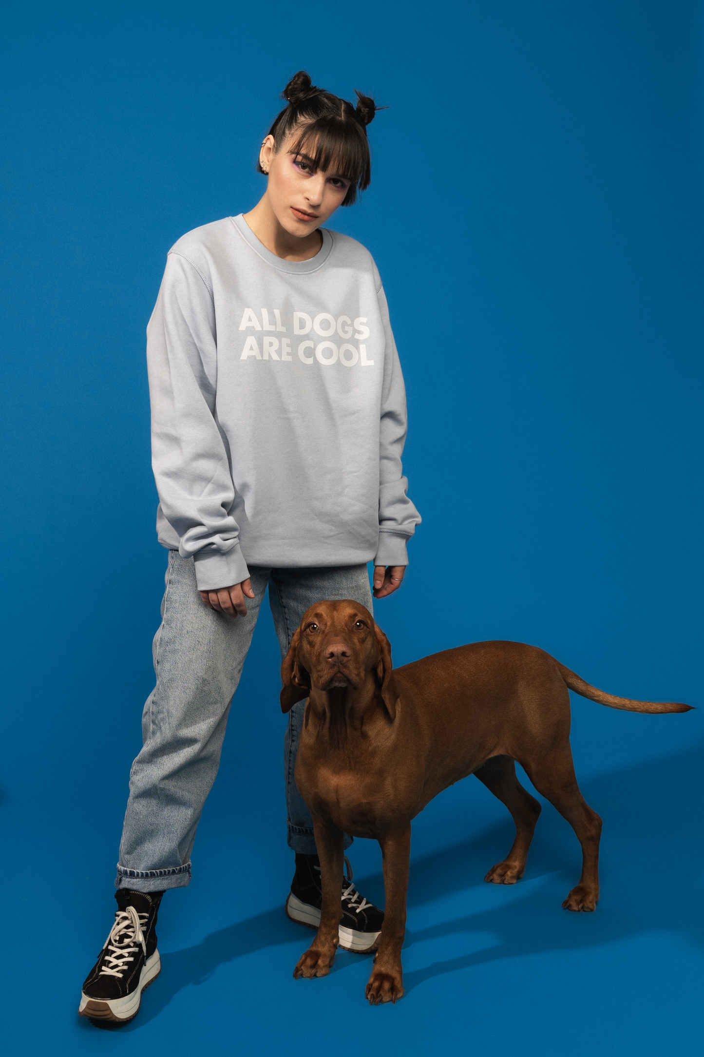 SWEATSHIRT ALL DOGS ARE COOL